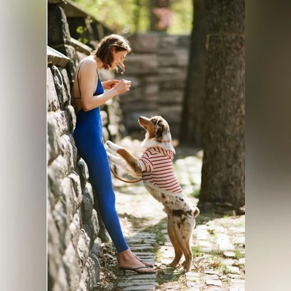 Zara Royal Blue Jumpsuit - Picture 1 of 12